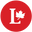 Digital Organizing Store logo